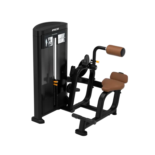 Precor Resolute Back Extension